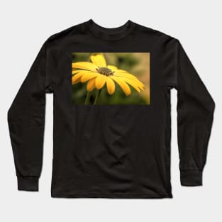 Osteospermum Sunny Asti Long Sleeve T-Shirt